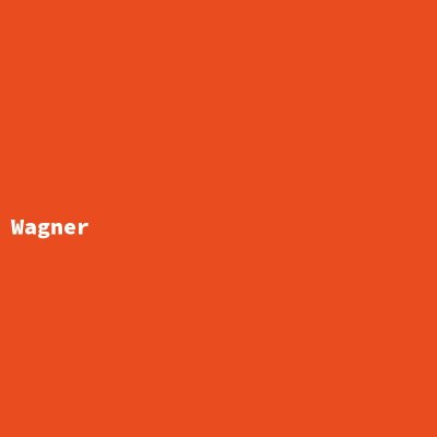 Hersteller: Wagner