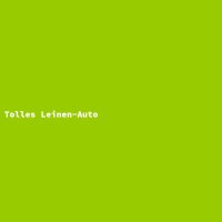 Tolles Leinen-Auto