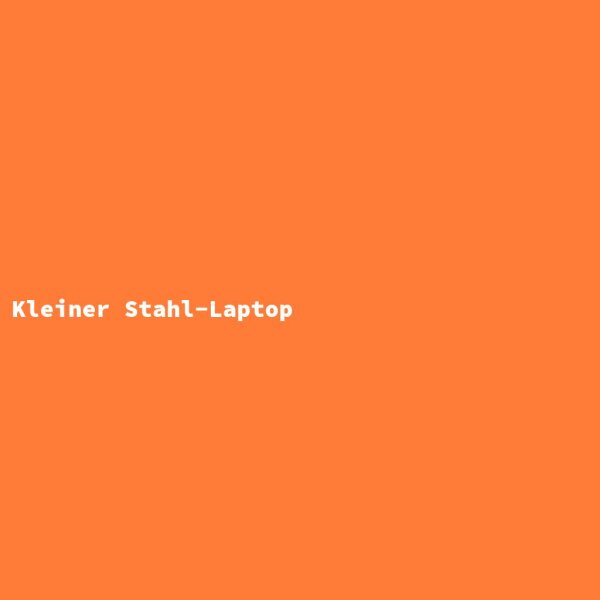 Small Steel Laptop