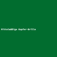Mittelm&auml;&szlig;ige Kupfer-Brille